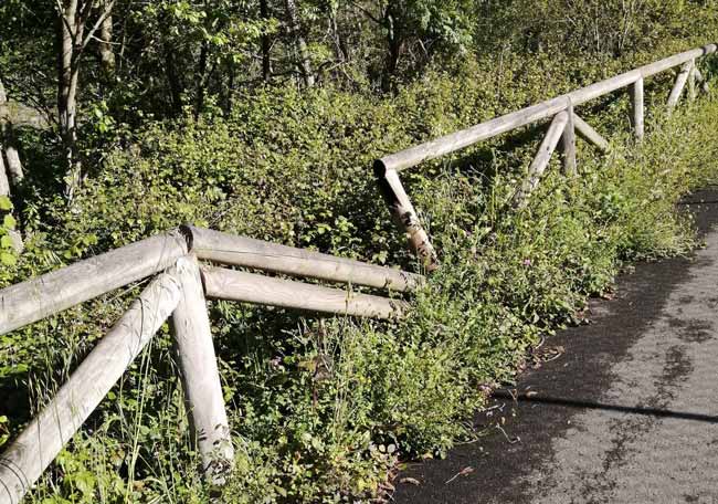 Usuarios de la senda fluvial de La Pola a Campomanes denuncian su "absoluta falta de mantenimiento"